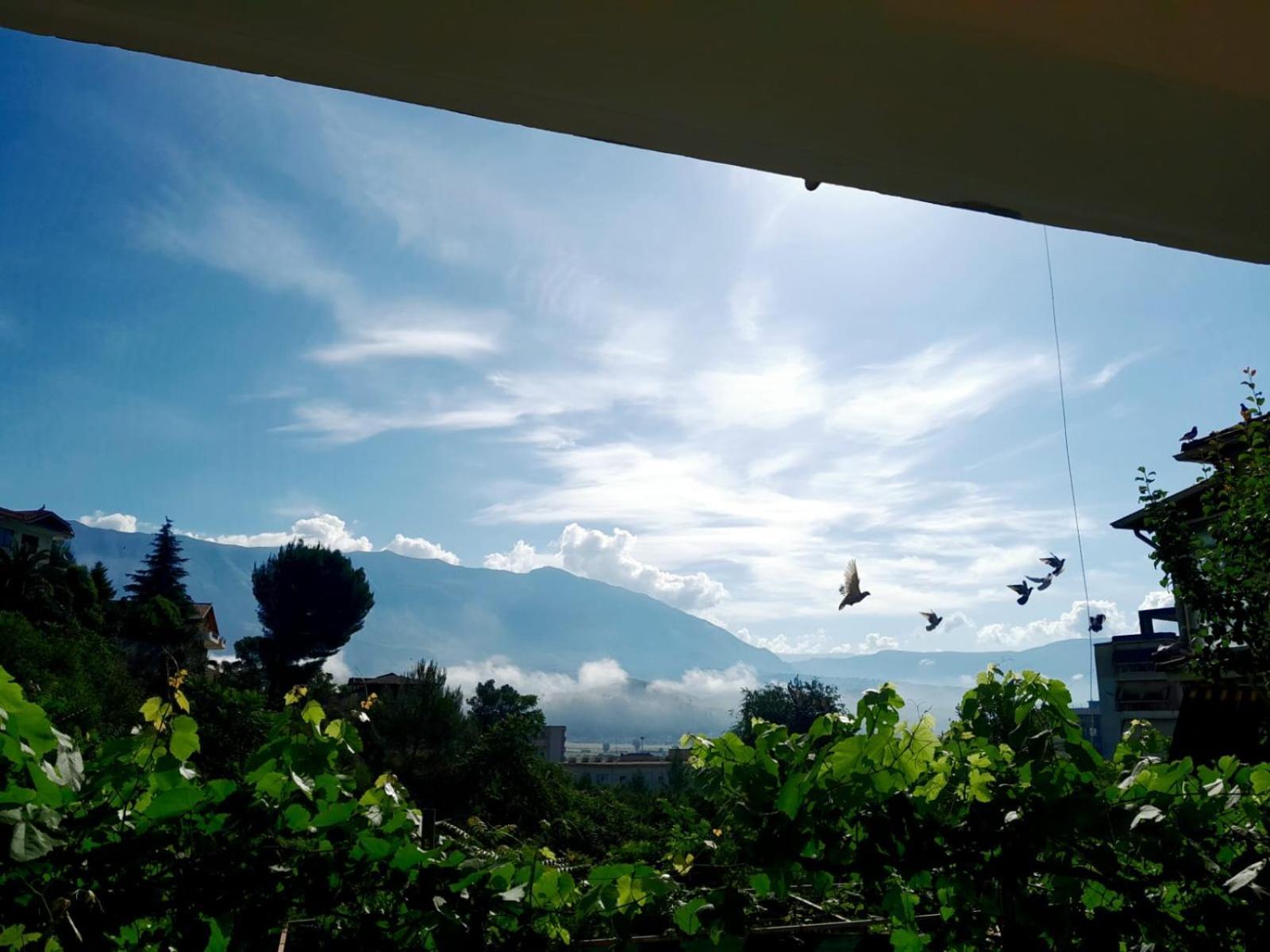 Apartament George 1 Gjirokastra Zewnętrze zdjęcie